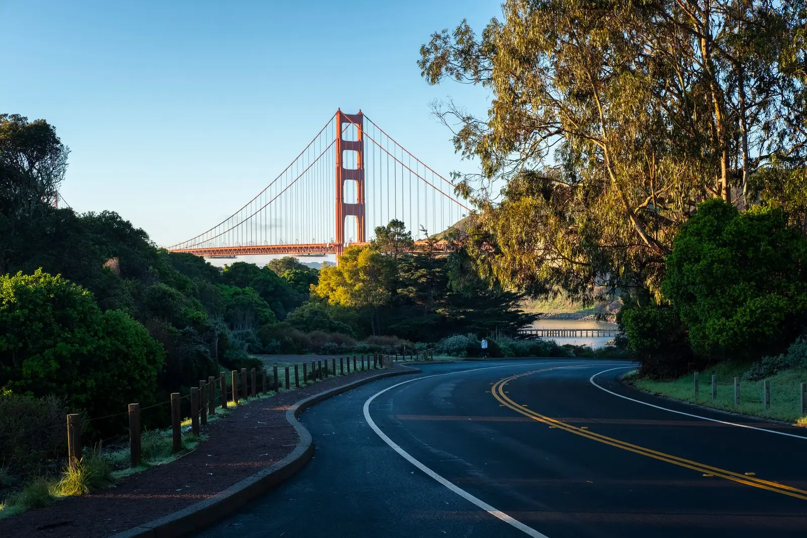 A road curving through trees toward the Golden Gate Bridge